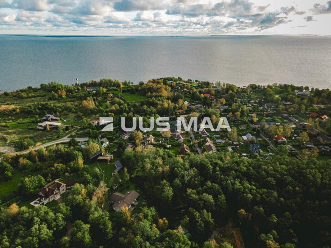 Viimsi vald, Leppneeme küla, Pihlapuu tee 10