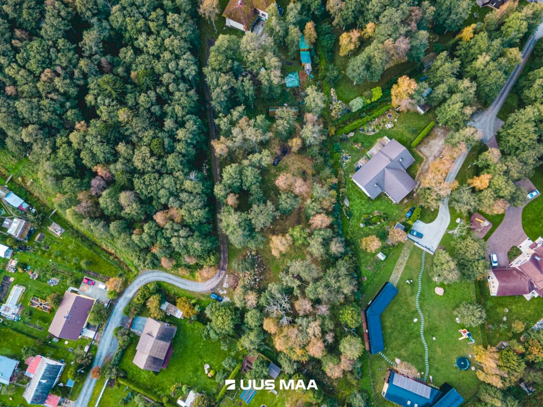 Viimsi vald, Leppneeme küla, Pihlapuu tee 10