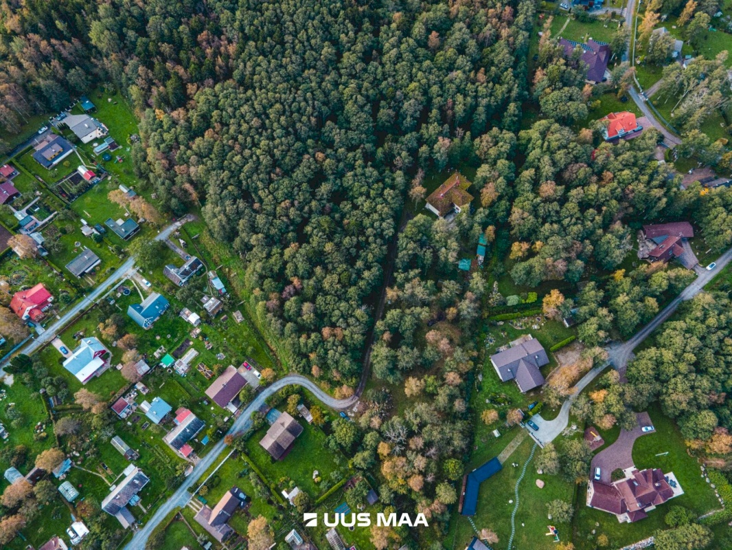 Viimsi vald, Leppneeme küla, Pihlapuu tee 10