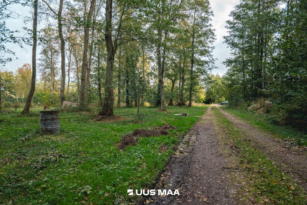 Viimsi vald, Leppneeme küla, Pihlapuu tee 10