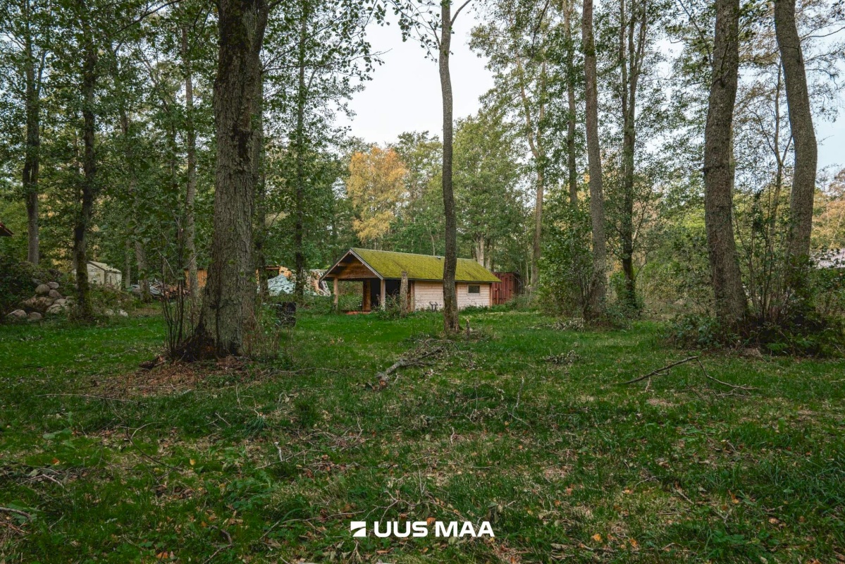 Viimsi vald, Leppneeme küla, Pihlapuu tee 10