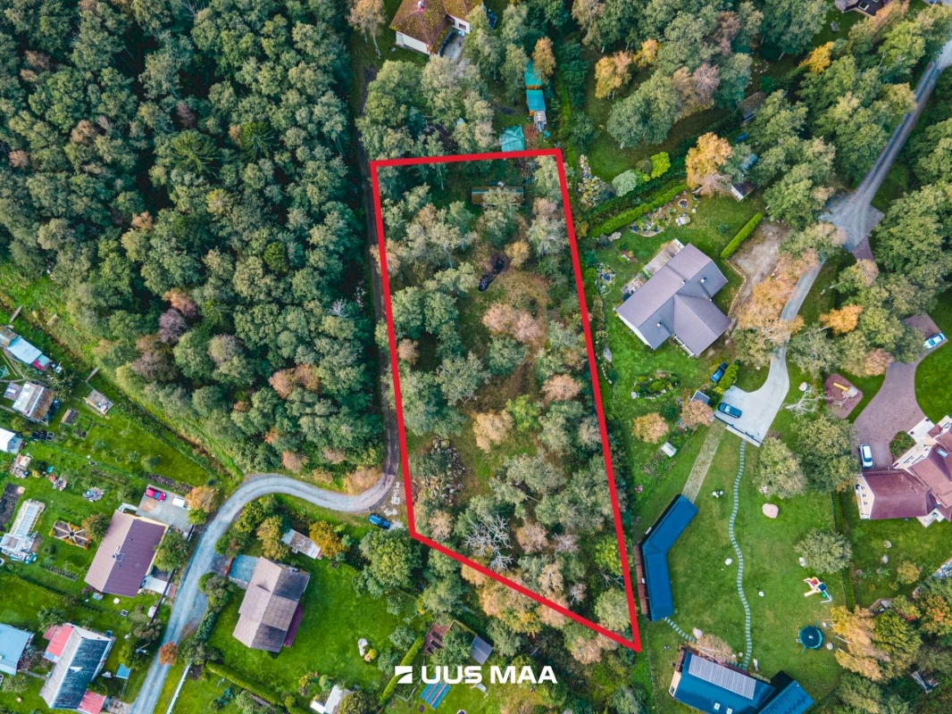 Viimsi vald, Leppneeme küla, Pihlapuu tee 10