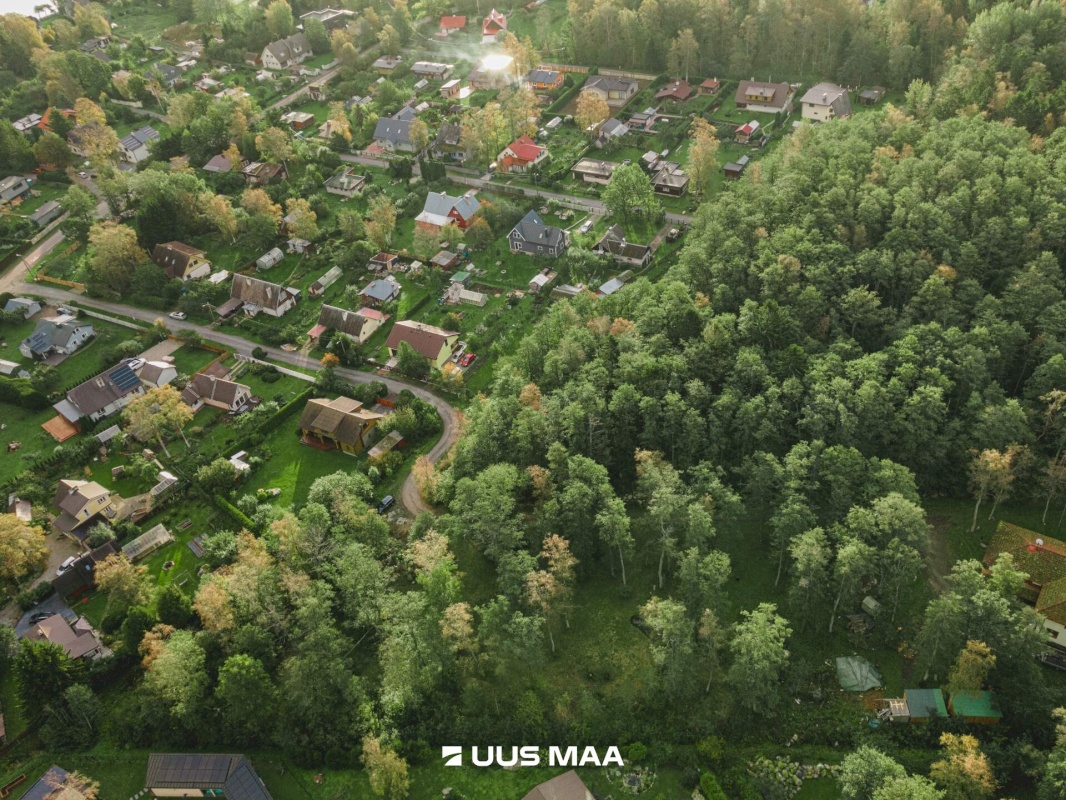 Viimsi vald, Leppneeme küla, Pihlapuu tee 10