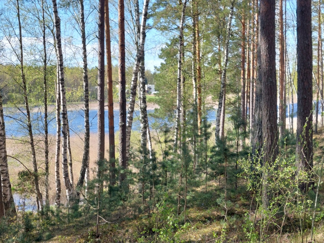 Setomaa vald, Värska alevik, Kooli tn