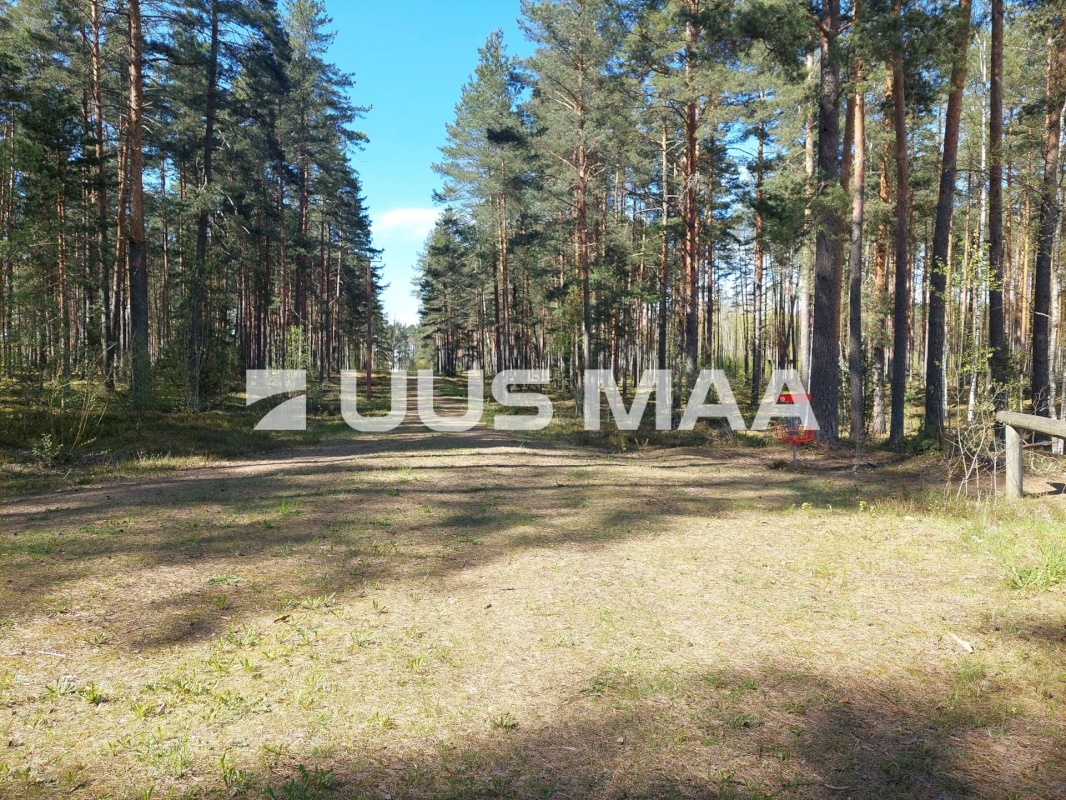 Setomaa vald, Värska alevik, Kooli tn