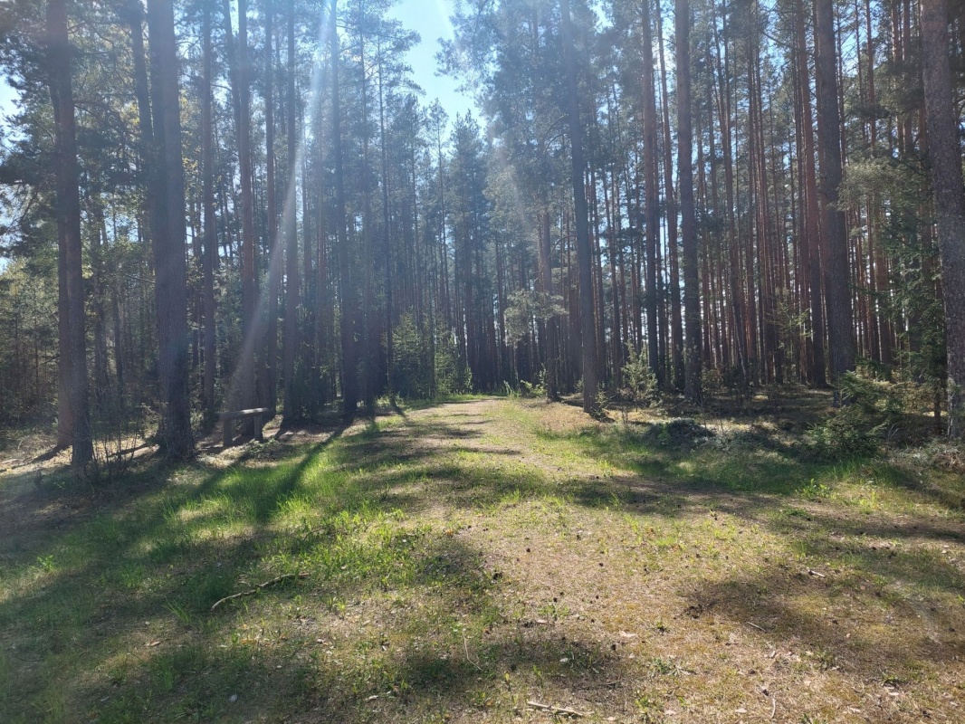 Setomaa vald, Värska alevik, Kooli tn