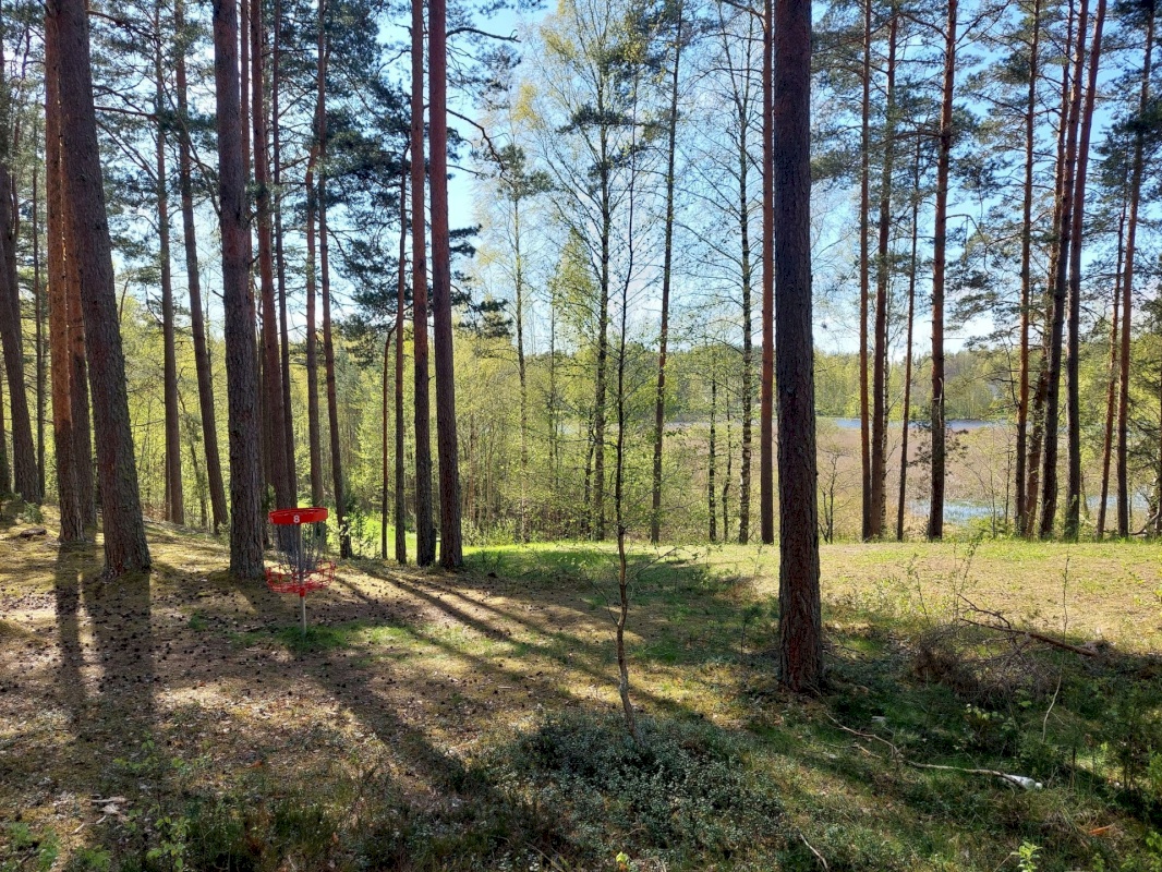Setomaa vald, Värska alevik, Kooli tn