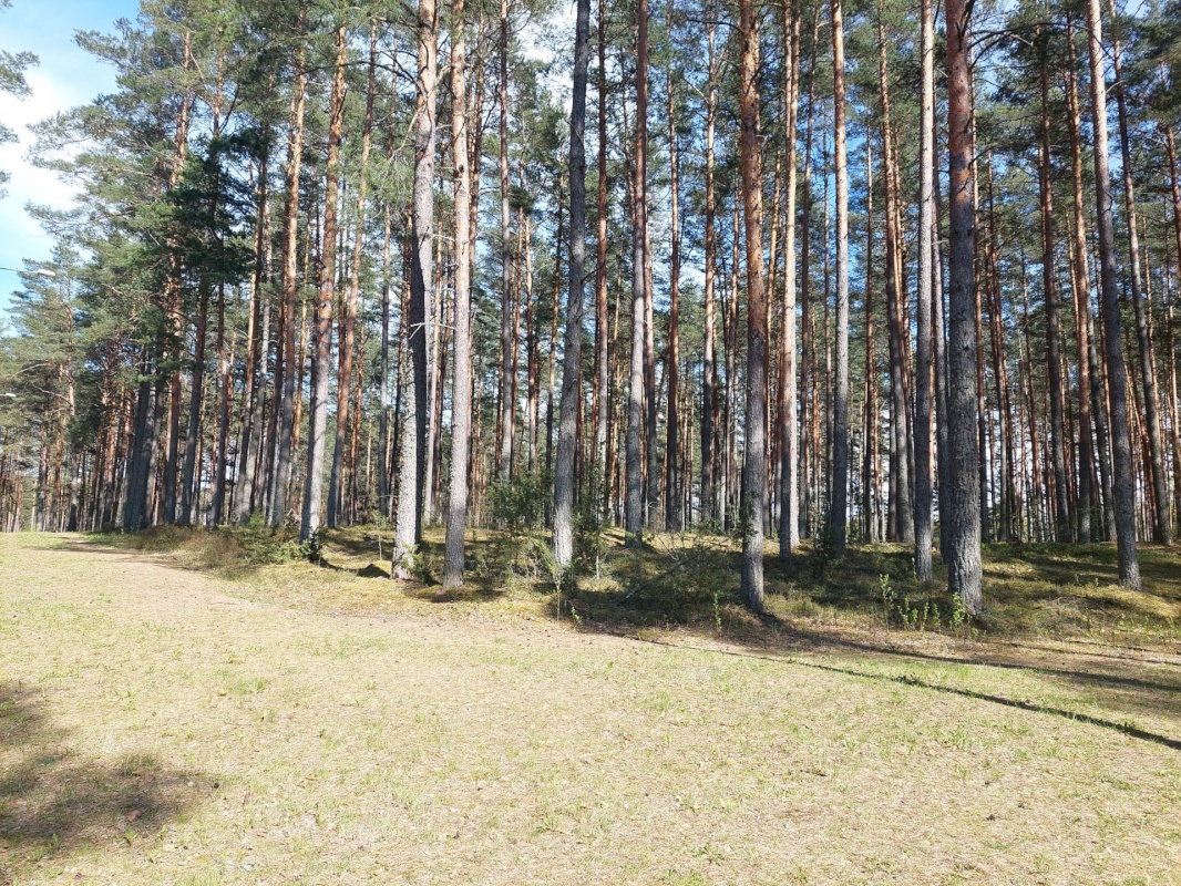 Setomaa vald, Värska alevik, Kooli tn