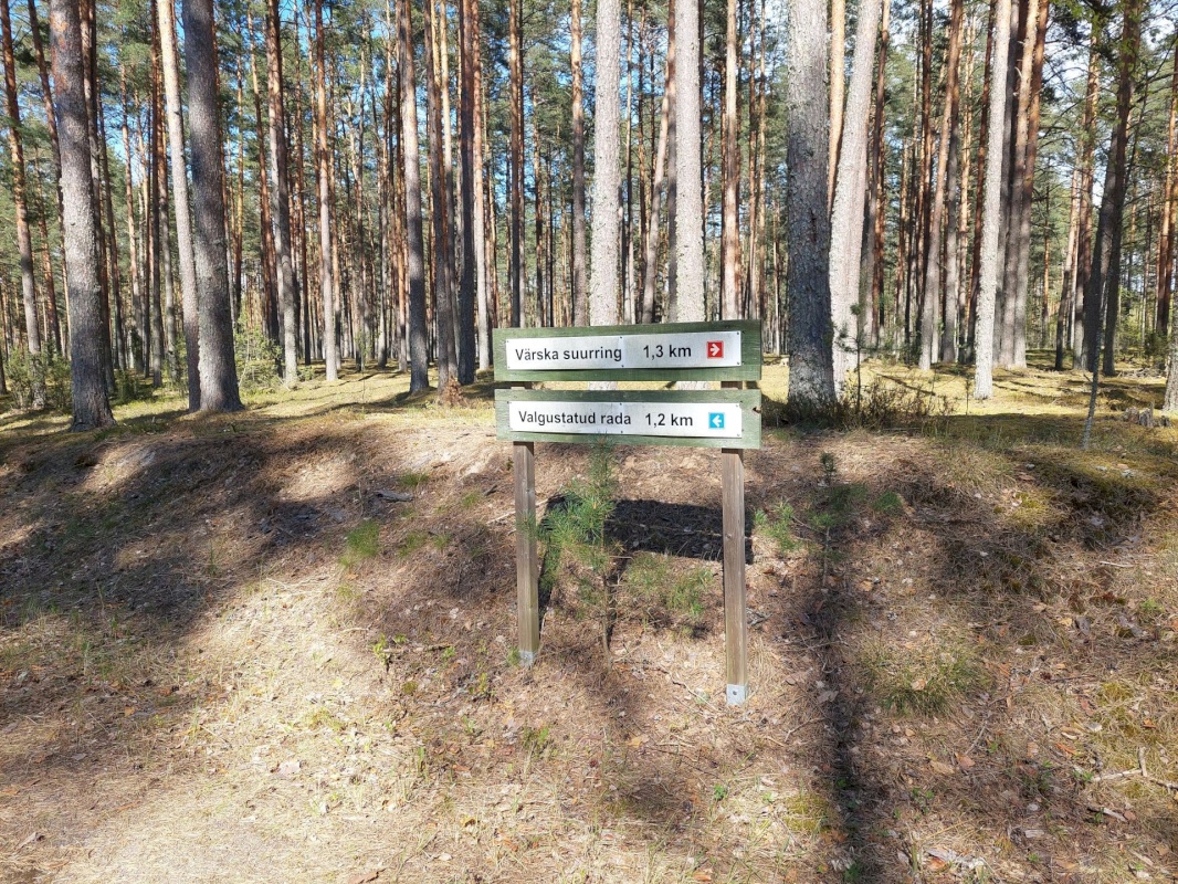 Setomaa vald, Värska alevik, Kooli tn