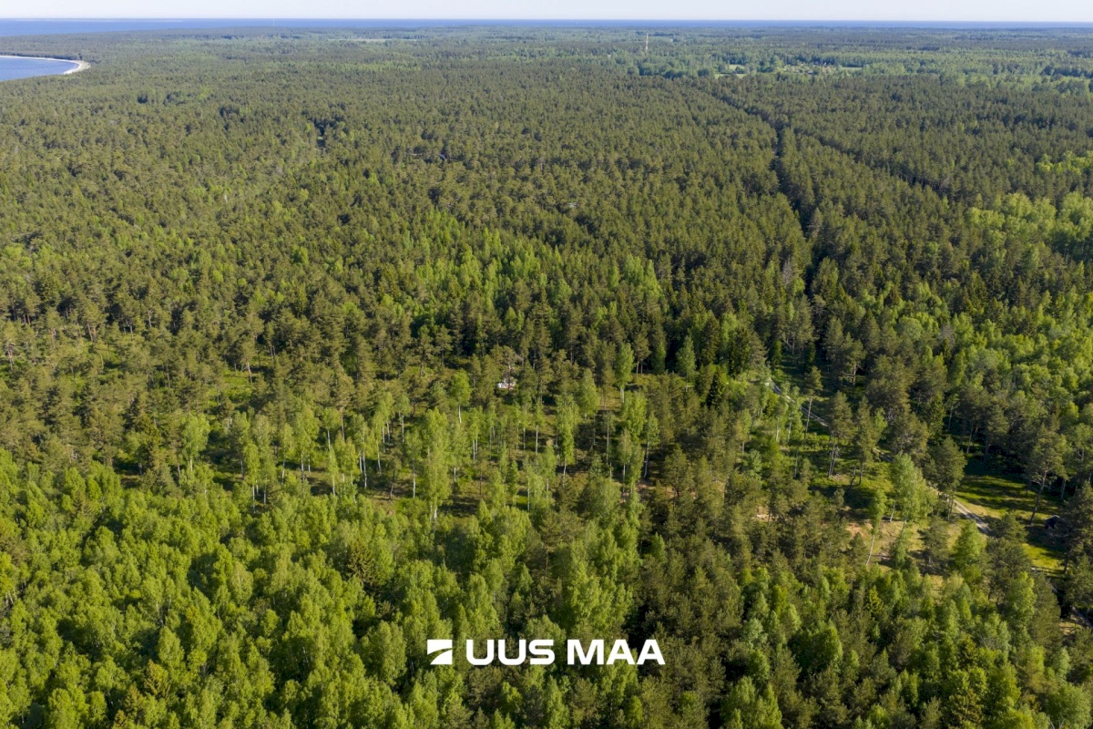 Lääne-Nigula vald, Elbiku küla/Ölbäck