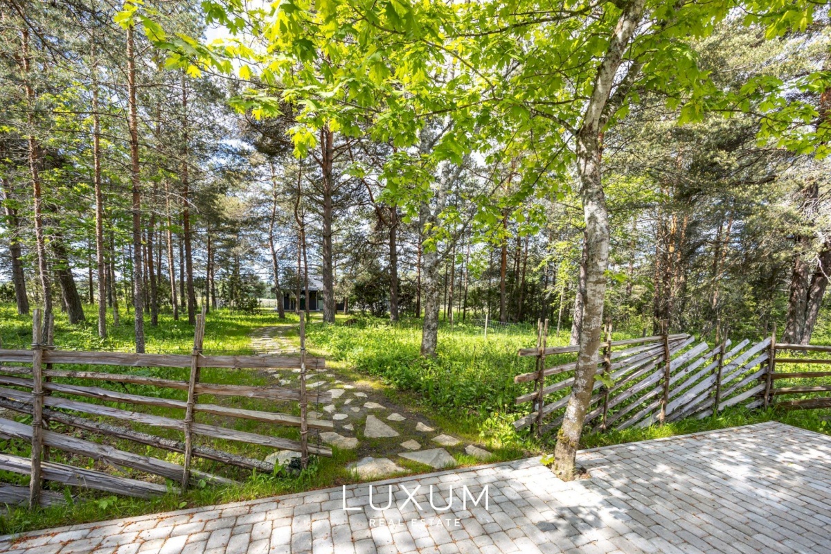 Lääne-Nigula vald, Paslepa küla/Pasklep, Lõokese