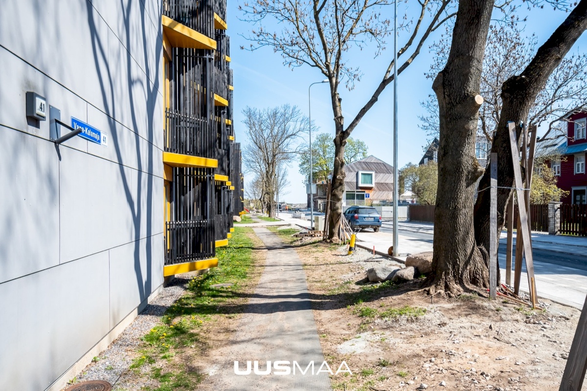 Tallinn, Põhja-Tallinna linnaosa, Vana-Kalamaja tn 41