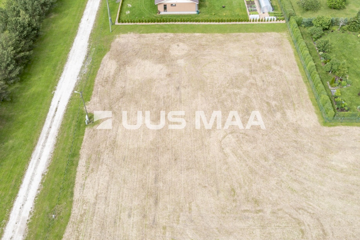 Paide linn, Sargvere küla, Alliksoone Tee 12