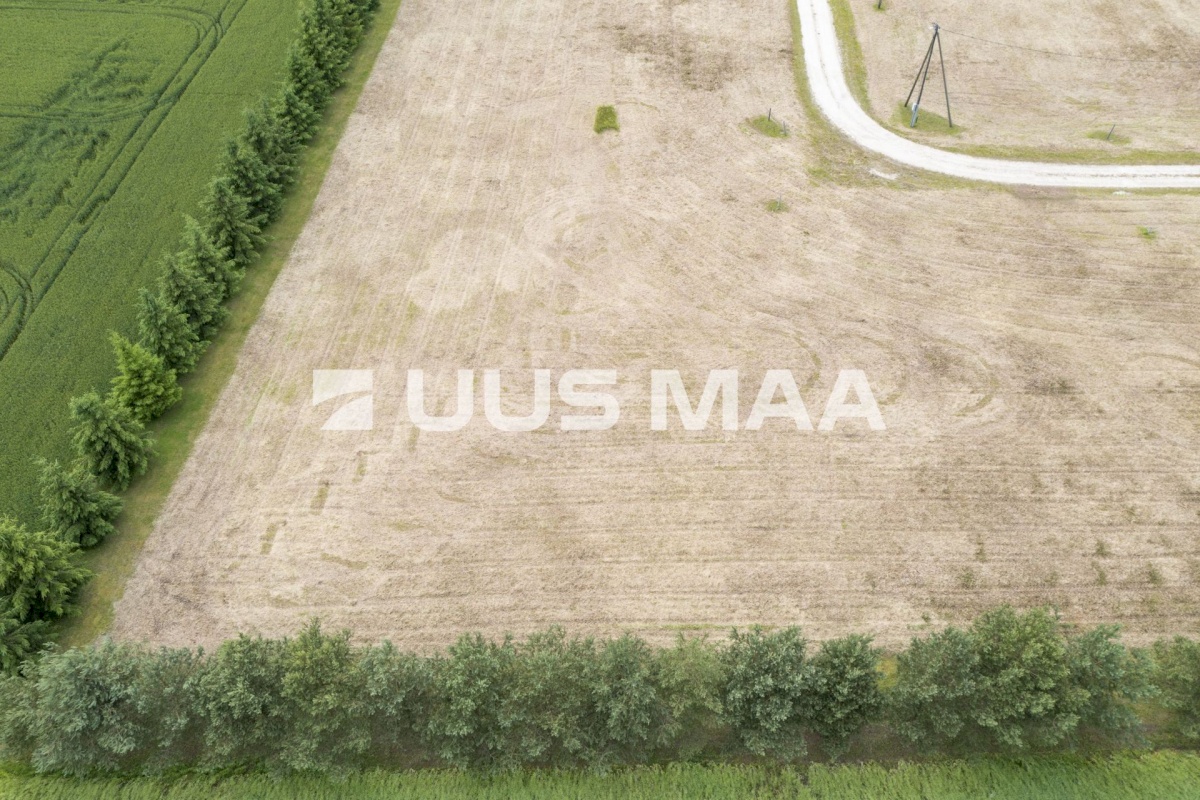 Paide linn, Sargvere küla, Alliksoone Tee 11