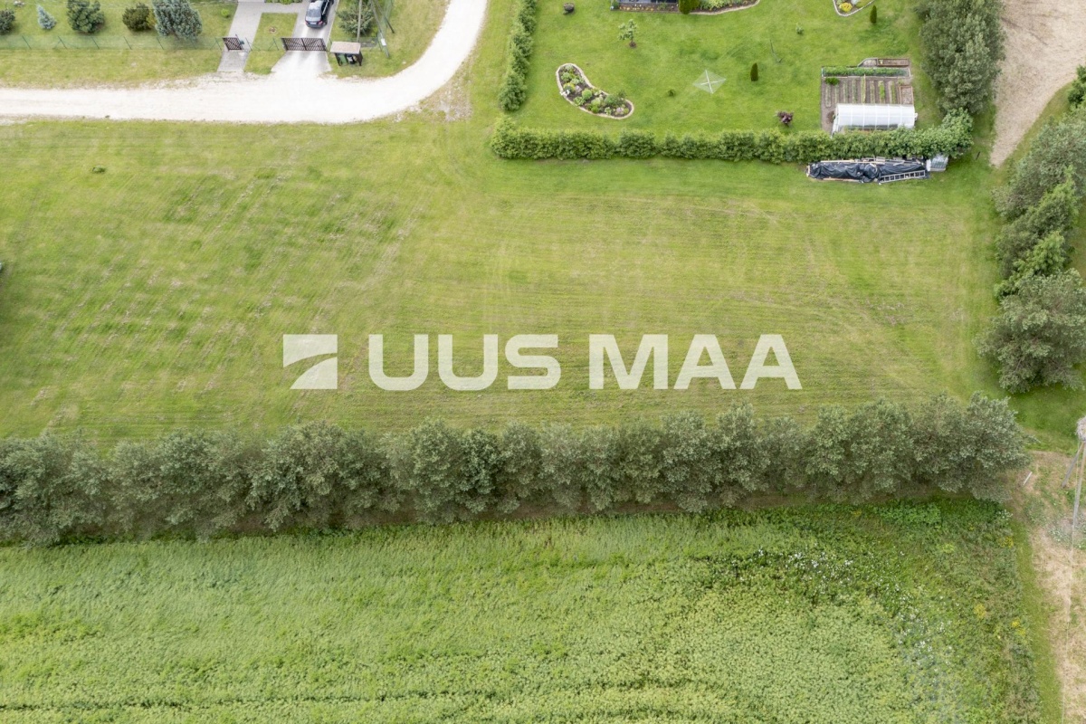 Paide linn, Sargvere küla, Alliksoone Tee 5