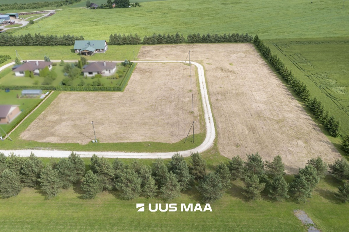 Paide linn, Sargvere küla, Alliksoone Tee 5