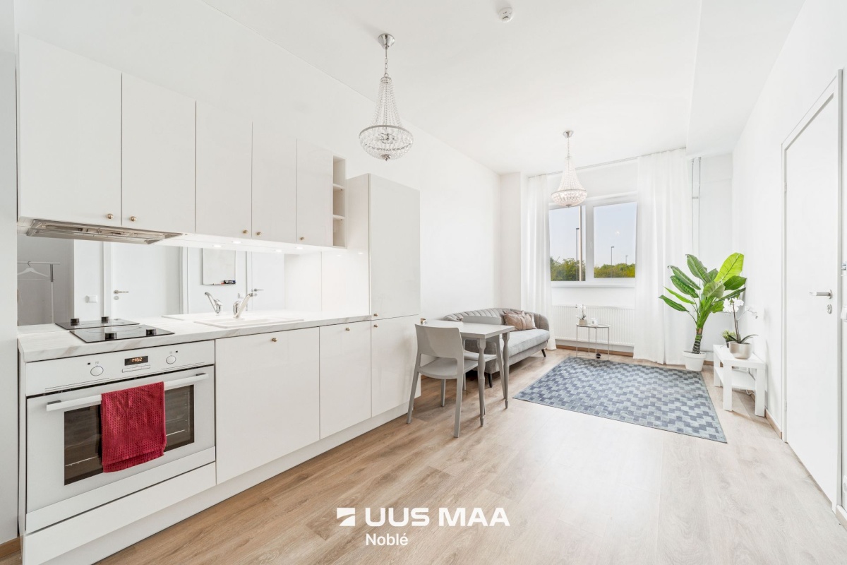 Tallinn, Lasnamäe linnaosa, Mustakivi, Mustakivi 25