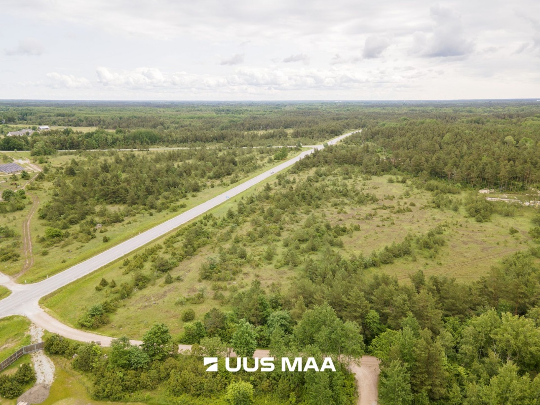 Saaremaa vald, Mullutu küla, Sinilille kinnistu