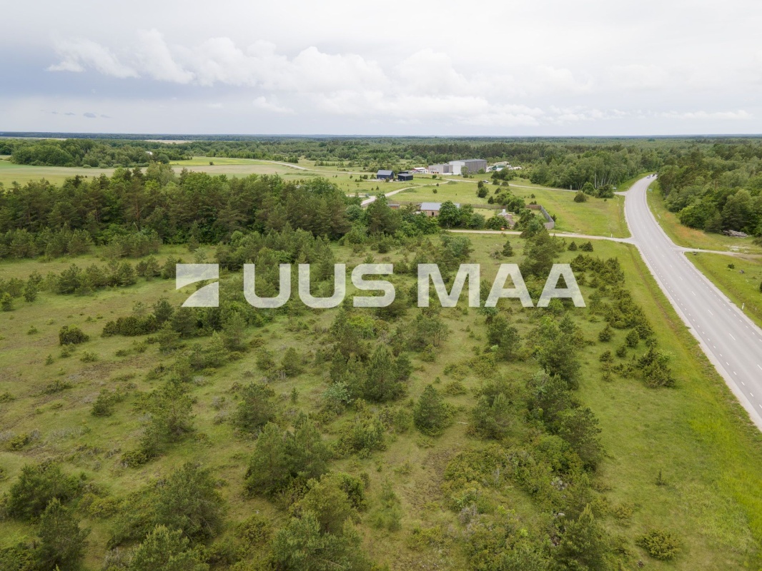 Saaremaa vald, Mullutu küla, Sinilille kinnistu