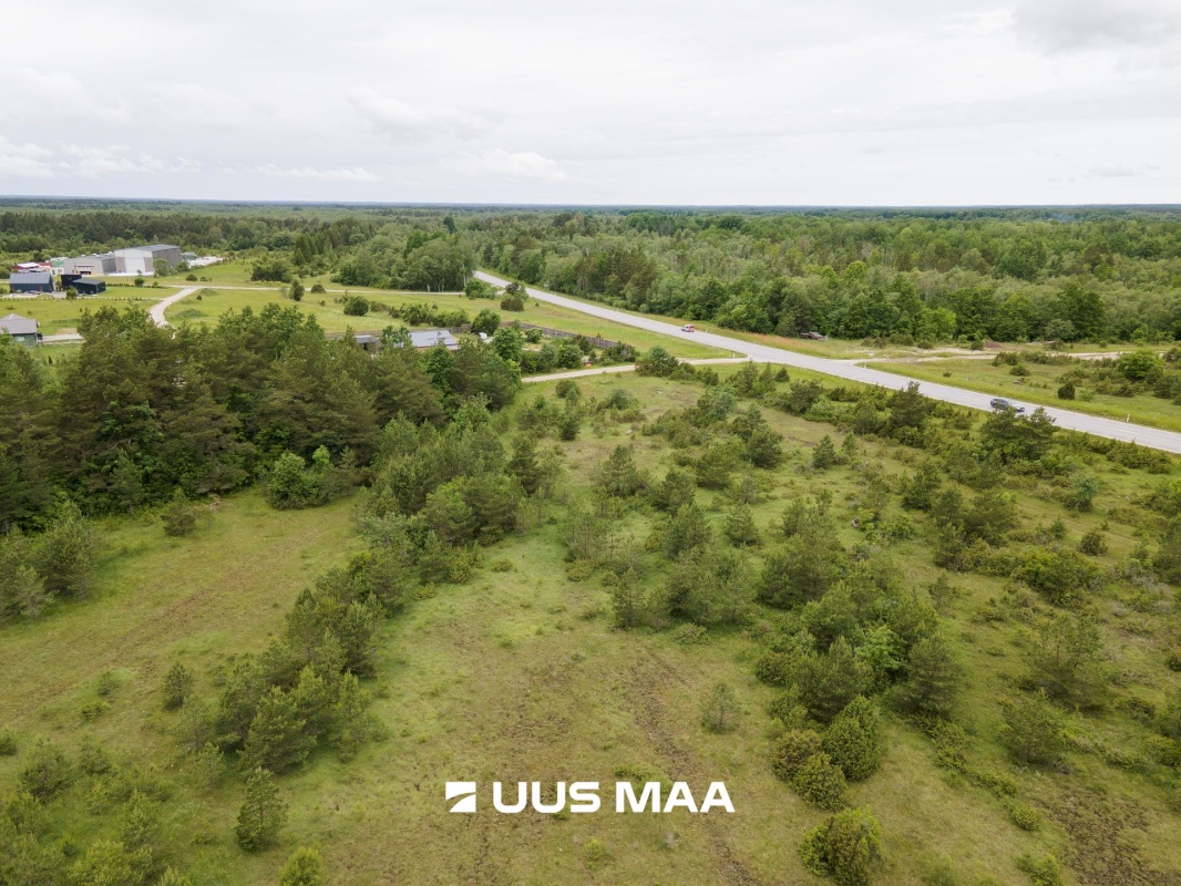 Saaremaa vald, Mullutu küla, Sinilille kinnistu