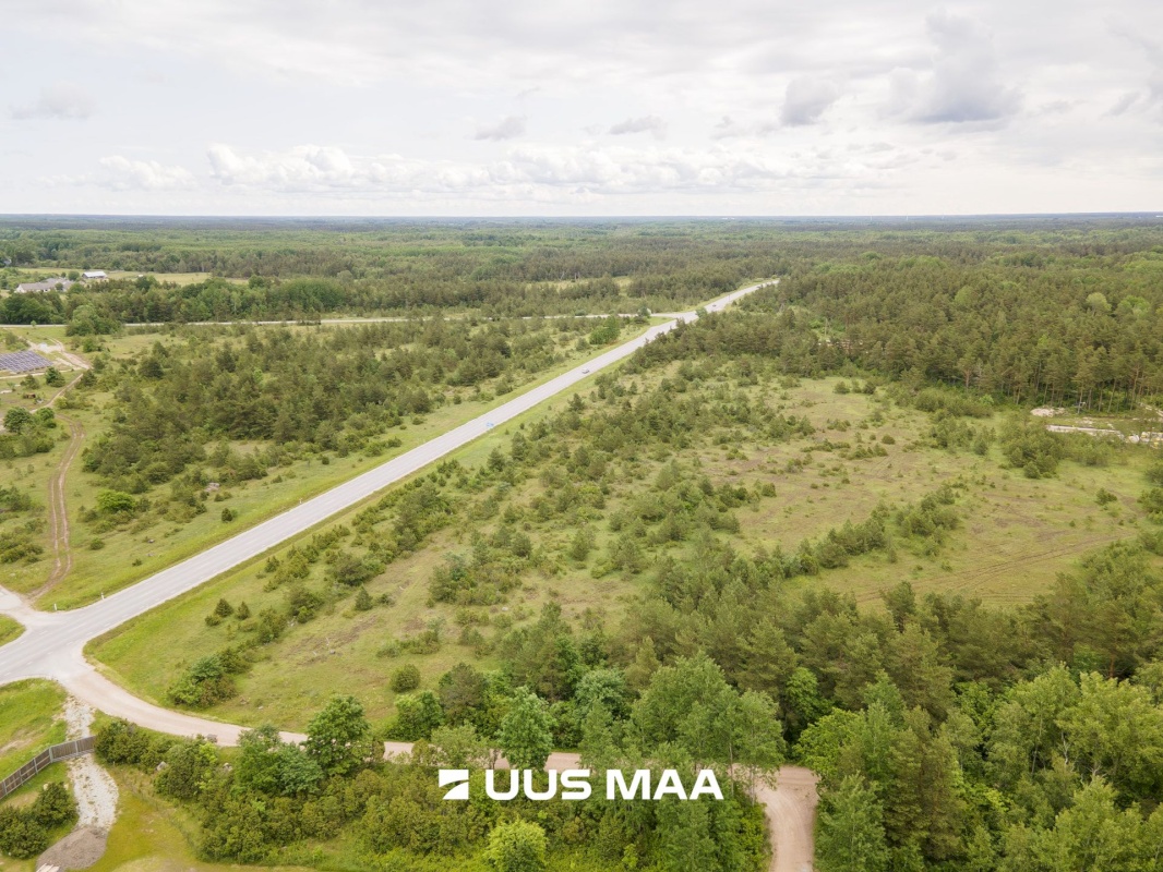 Saaremaa vald, Mullutu küla, Sinilille kinnistu