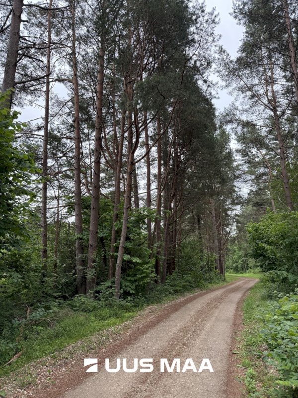Kihnu vald, Linaküla
