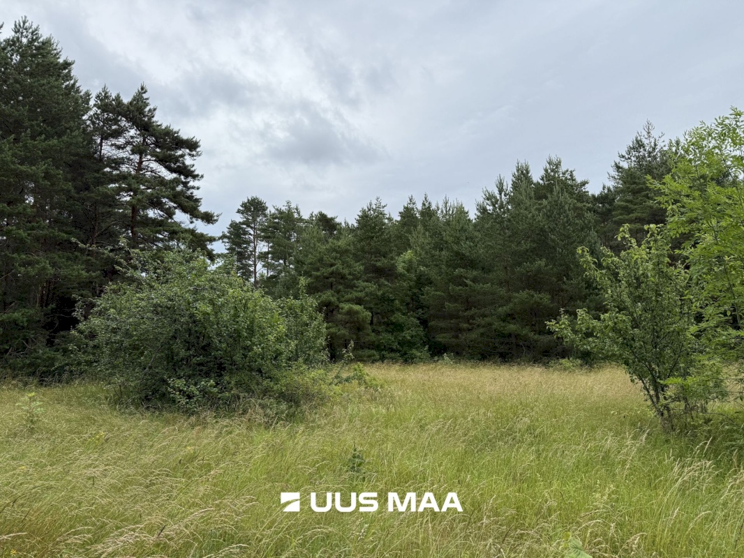 Kihnu vald, Linaküla