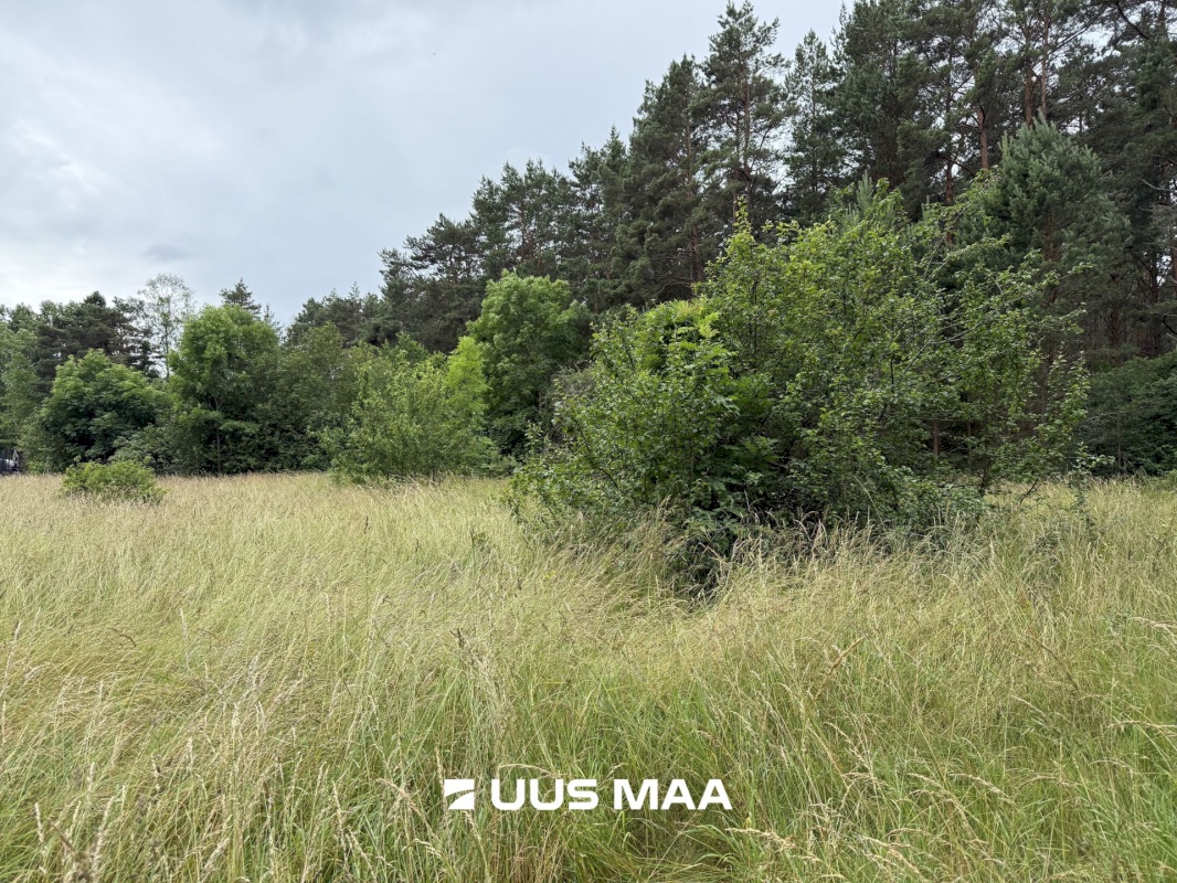 Kihnu vald, Linaküla