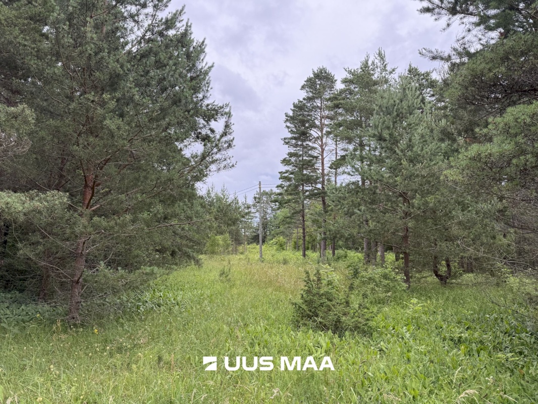 Kihnu vald, Linaküla