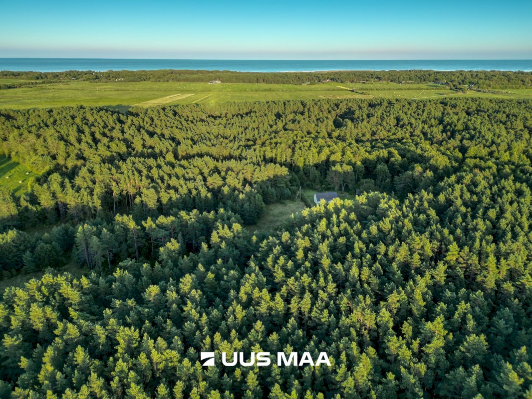 Kihnu vald, Linaküla