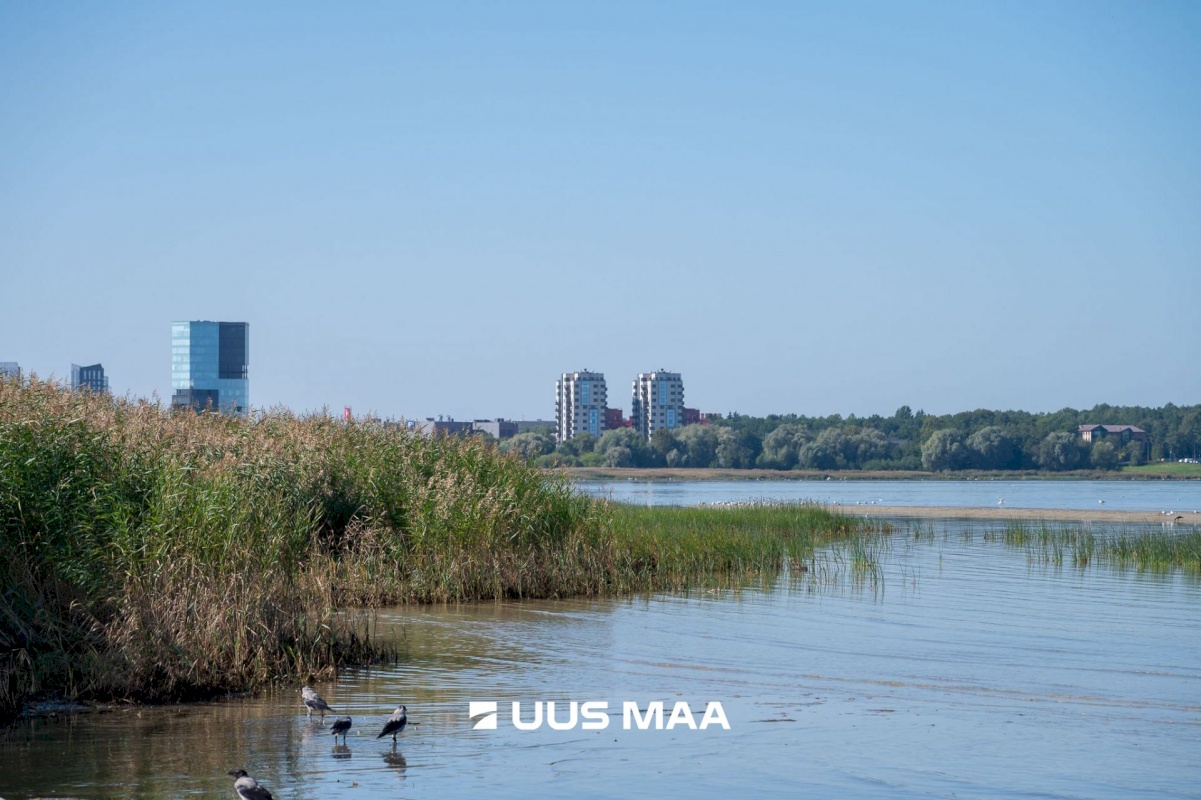 Tallinn, Haabersti linnaosa, Mustjõe, Pagi 5