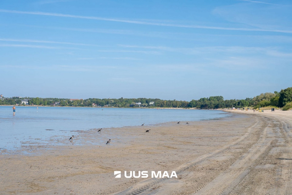 Tallinn, Haabersti linnaosa, Mustjõe, Pagi 5
