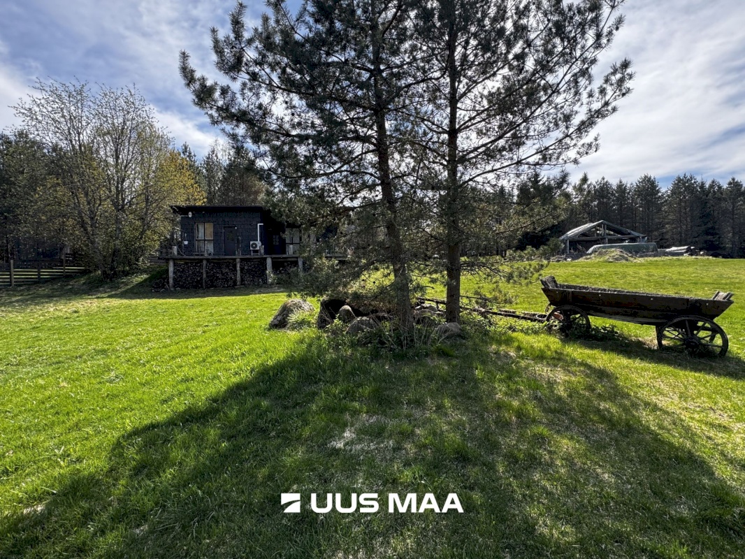 Kadrina vald, Arbavere küla, Kiviloo 6 Kapteni