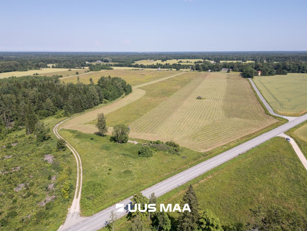 Raasiku vald, Kiviloo küla