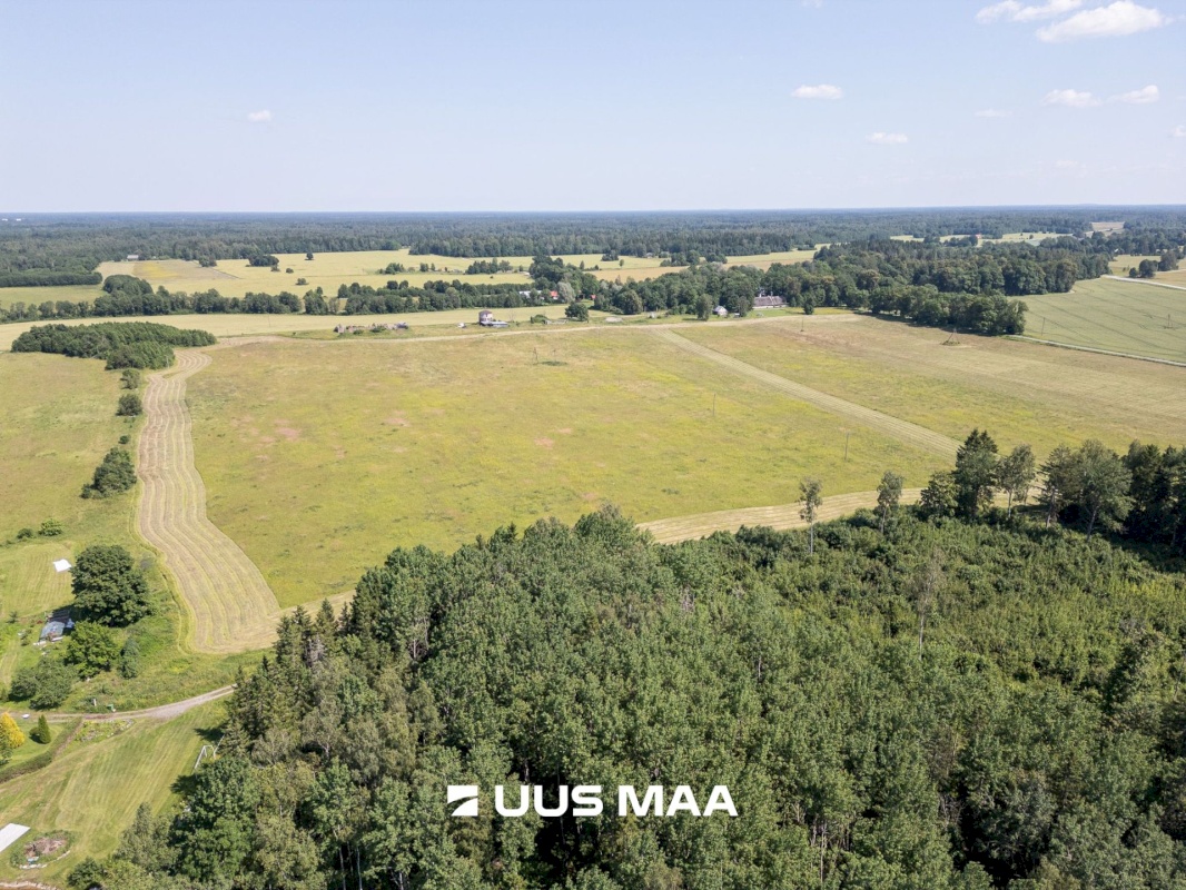 Raasiku vald, Kiviloo küla