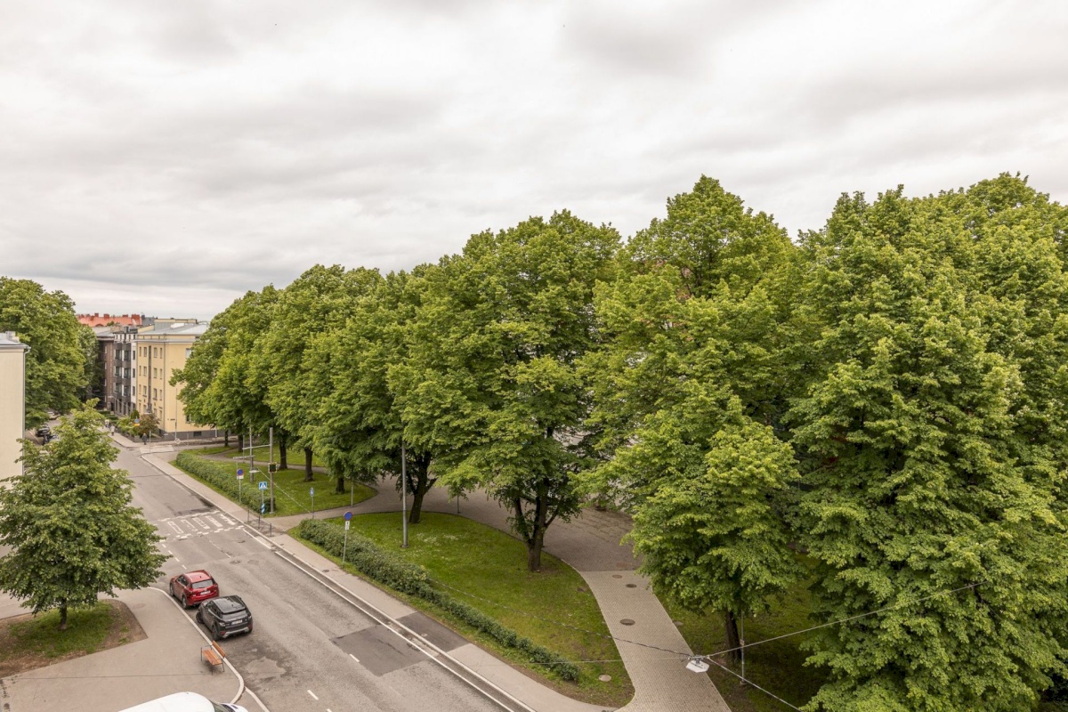 Tallinn, Kesklinna linnaosa, Pronksi 7