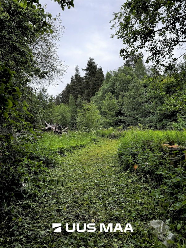 Viru-Nigula vald, Pikaristi küla, Sooserva