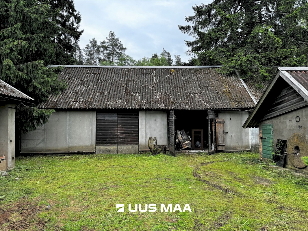 Viru-Nigula vald, Pikaristi küla, Sooserva