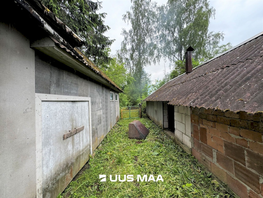 Viru-Nigula vald, Pikaristi küla, Sooserva
