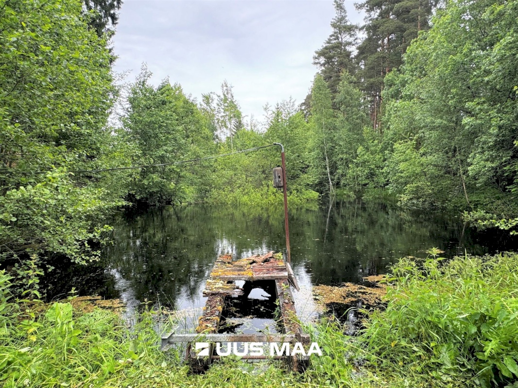 Viru-Nigula vald, Pikaristi küla, Sooserva