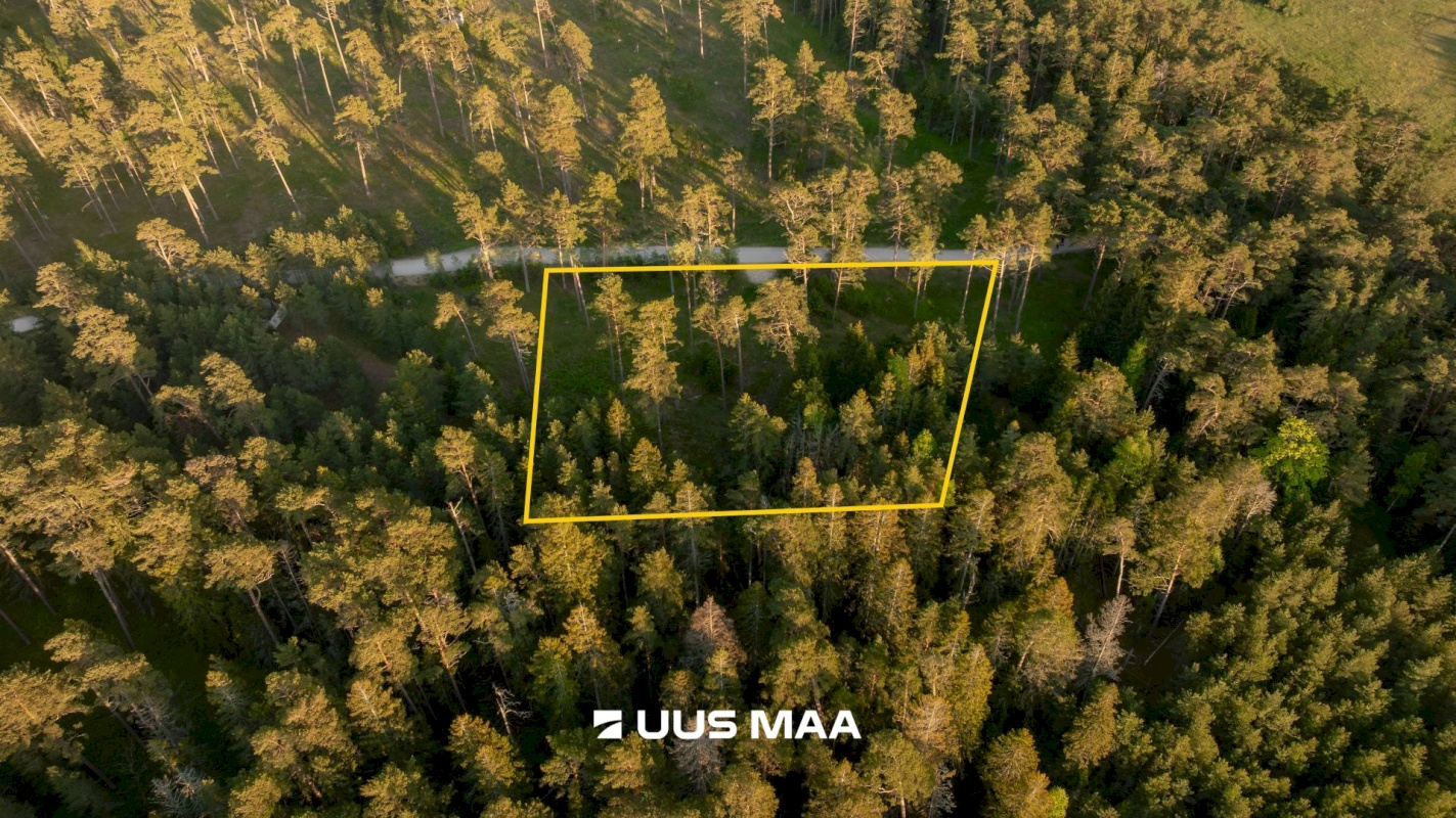 Hiiumaa vald, Kalana küla