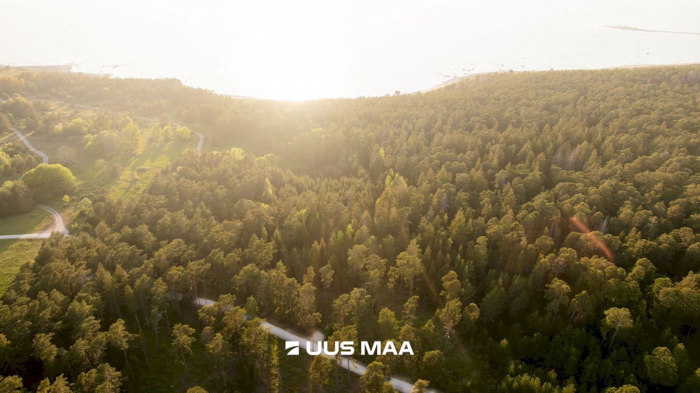 Hiiumaa vald, Kalana küla