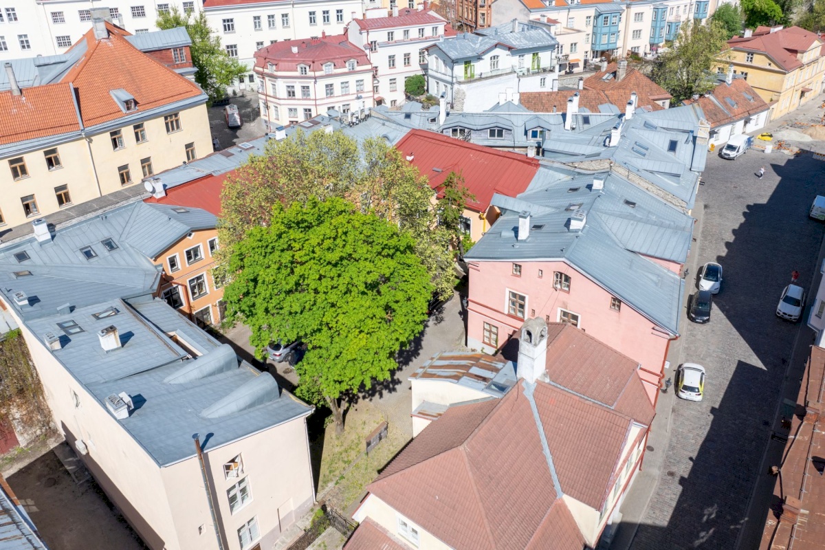 Tallinn, Kesklinna linnaosa, Vanalinn, Uus 23