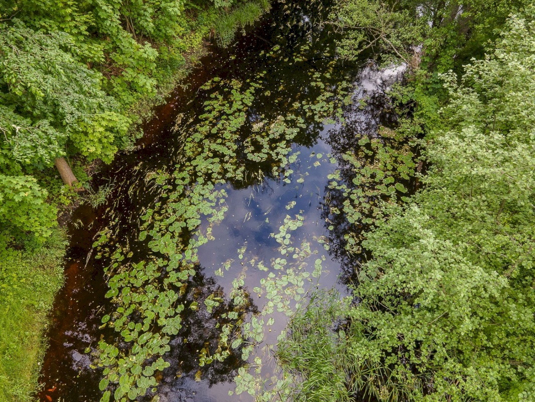 Tõrva vald, Kalme küla, Kase