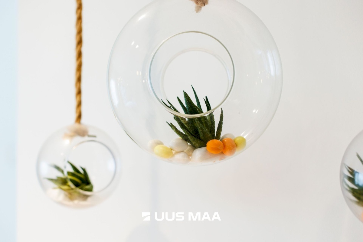 Tallinn, Kesklinna linnaosa, Tartu mnt 56