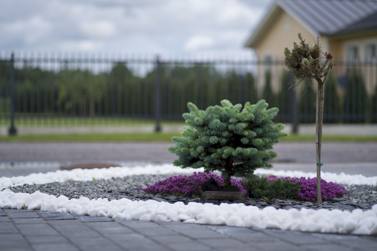 Paide linn, Kriilevälja küla, Laasi tee 5