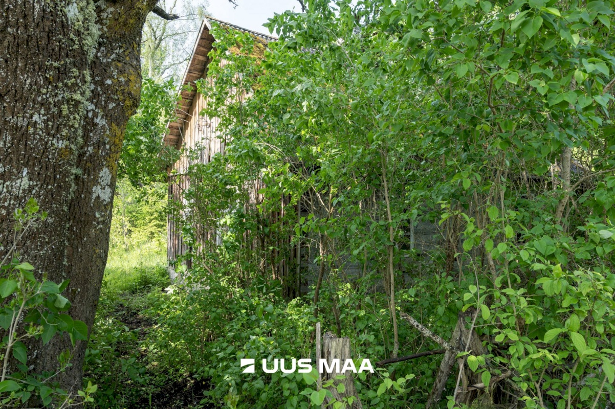 Saaremaa vald, Kalmu küla, Marise kinn
