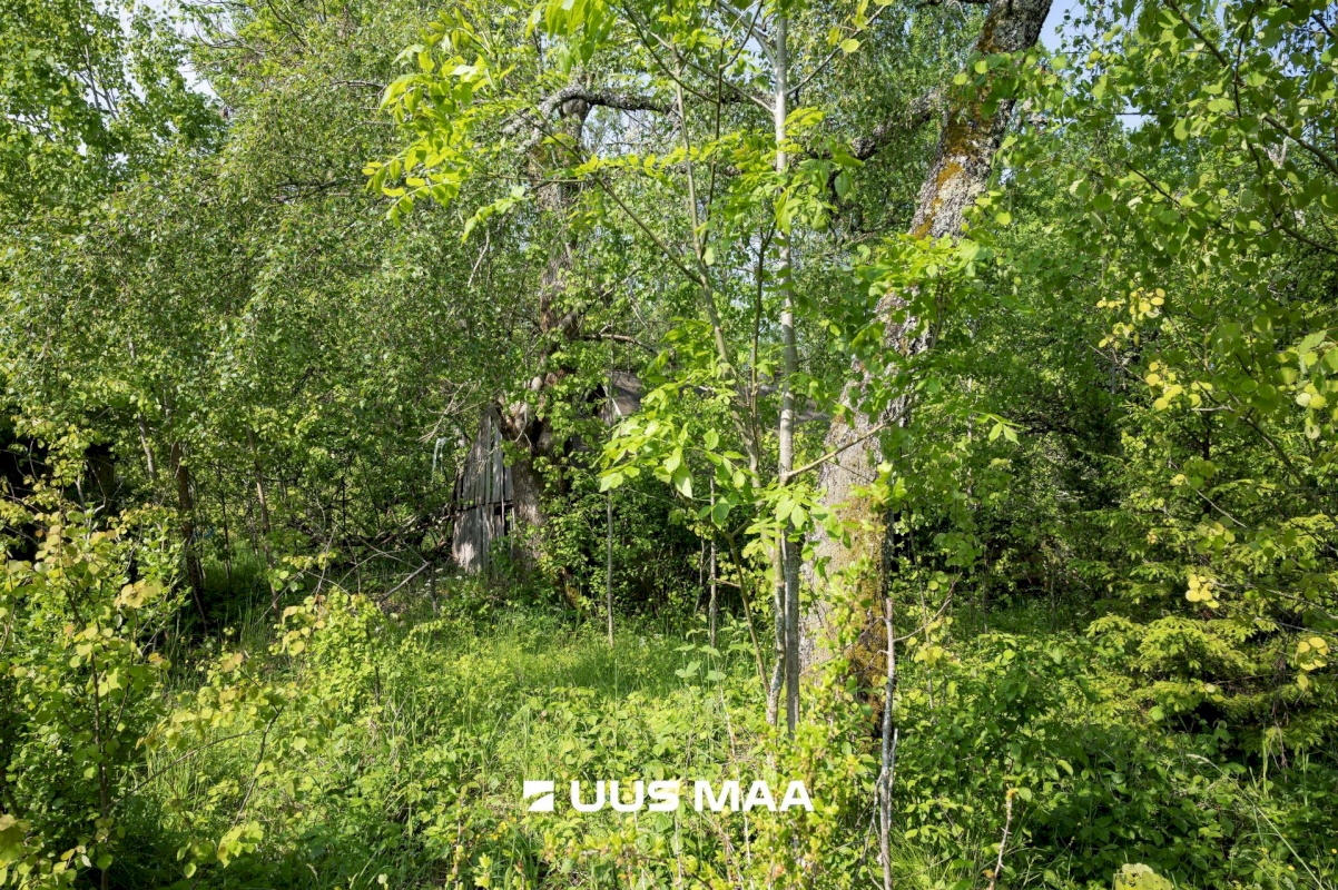 Saaremaa vald, Kalmu küla, Marise kinn