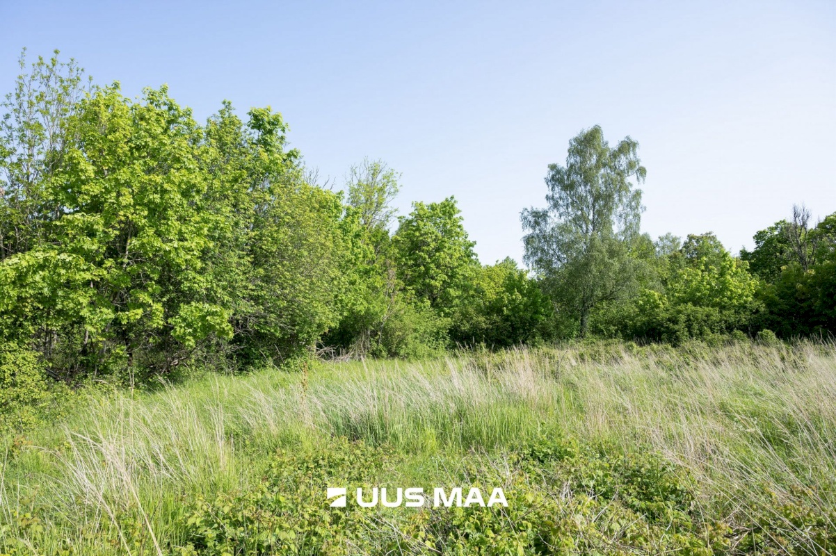 Saaremaa vald, Kalmu küla, Marise kinn