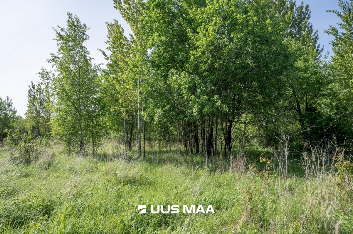 Saaremaa vald, Kalmu küla, Marise kinn